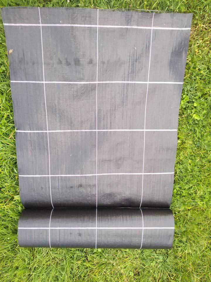 agrotekstil-za-borovnice